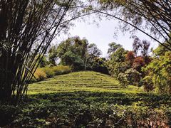 -东部华侨城