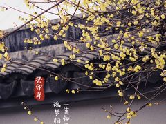 -无锡梅园公园