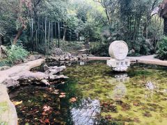 -镇江市南山风景名胜区竹林景区