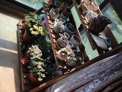 -双季花艺园艺市场(浦东店)