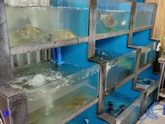 -品鲜村农家菜·阳澄湖大闸蟹(总店)