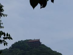 -南山植物园
