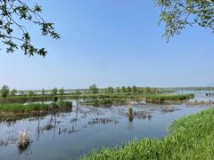 -野鸭湖国家湿地公园