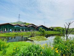 -西湖风景区-江洋畈生态公园