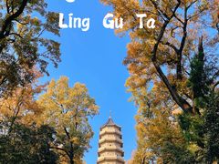 -灵谷景区