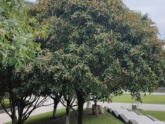 -西南政法大学(渝北校区)