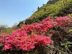 -青岛大珠山景区