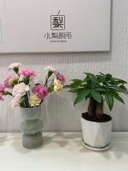-小梨·OndaPro·专业脱毛连锁机构