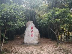 -潜山国家森林公园