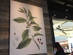 大堂-星巴克臻选(武汉经开永旺梦乐城店)