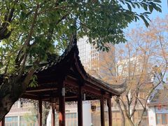 -龙潭水乡