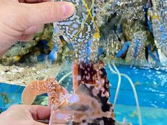 -四川小胡子海鲜(丁村万人海鲜广场店)