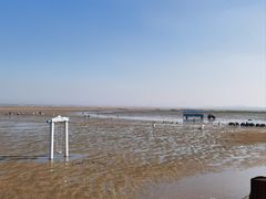 -刘家湾赶海园