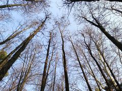 -共青国家森林公园-售票处