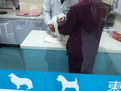 -宠颐生东兴动物医院(大悦城店)