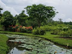 -中国科学院西双版纳热带植物园