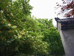 -丰台花园