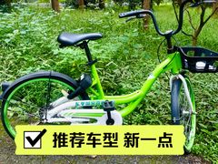 -东平国家森林公园