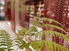 -二酉书店TOYOU BOOKS