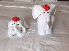 -三亚亚龙湾雅高铂尔曼别墅度假酒店