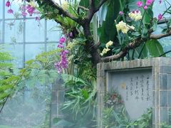 -东莞植物园