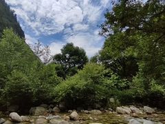 -黑河国家森林公园