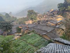 -杨家堂村