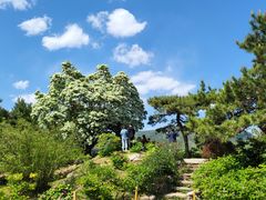 -国家植物园南园