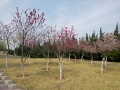 -济南国际园博园