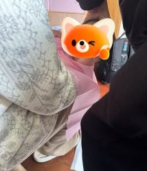 -上海小小宝婴儿理胎发胎毛笔