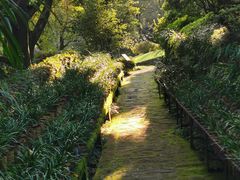 -南山植物园