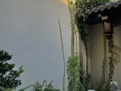 -松云泽