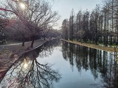 -上海共青森林公园