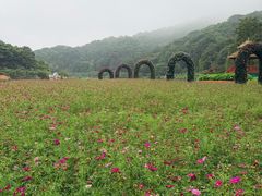 -广州市石门国家森林公园