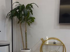 -牙博士口腔品牌连锁(杨浦店)