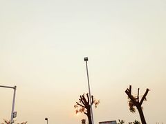 渡口风景-先锋海鲜市场