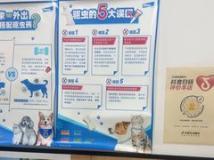 -米苏动物医院·犬猫专科·骨科外科内窥镜