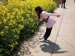 -小鱼草莓采摘园农家乐·小鱼餐厅