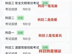 -鹏城驾校·学车·陪驾(宝安店)