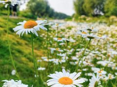 -汉长安城未央宫国家考古遗址公园