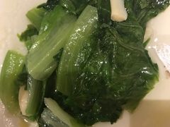 生菜-嘉豪淮海国际豪生酒店