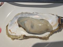 -大锅强·蒸海鲜青岛菜(吾悦广场店)