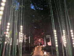 -杭州黄龙洞