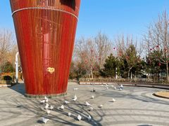 -南宫五洲植物乐园