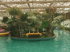 -南宫五洲植物乐园