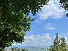 -深圳湾公园(南山区)