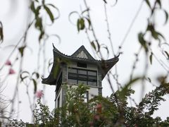 凤起楼-广州神农草堂中医药博物馆