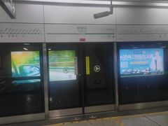 -杨柳河(地铁站)