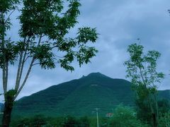 -抱犊寨风景区