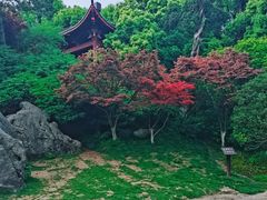 -吴山景区